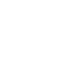 Custom Solutions
